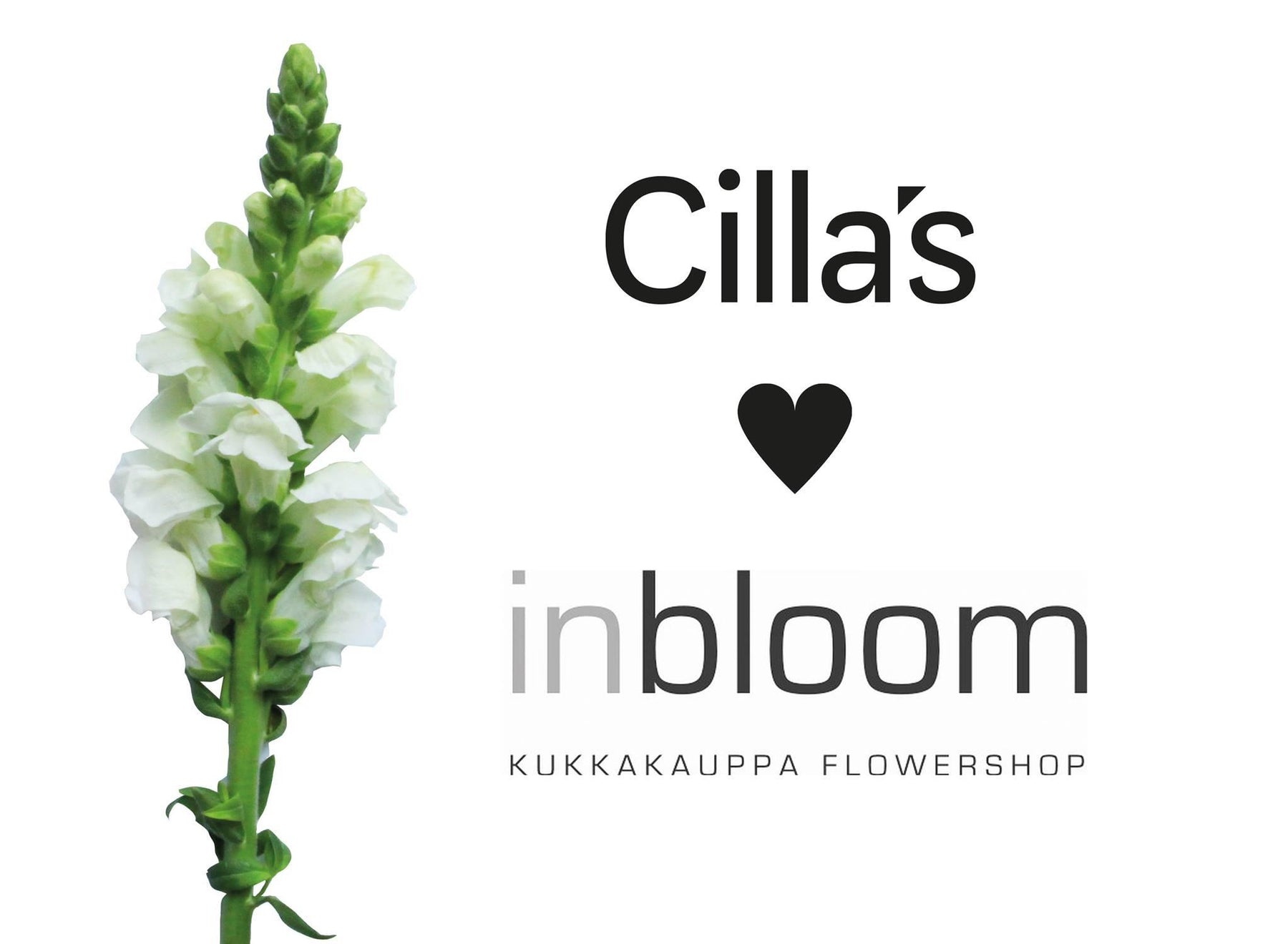 Cilla's <3 Inbloom