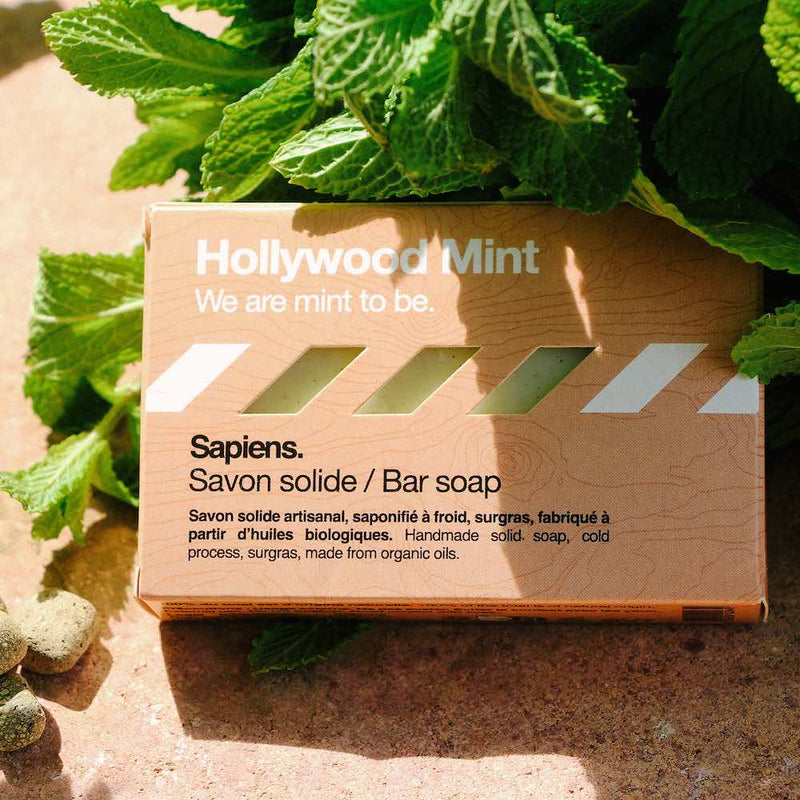 Sapiens palasaippua, Hollywood Mint